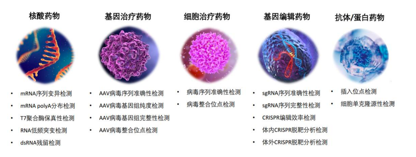 微信图片_2025-09-12_091157_328