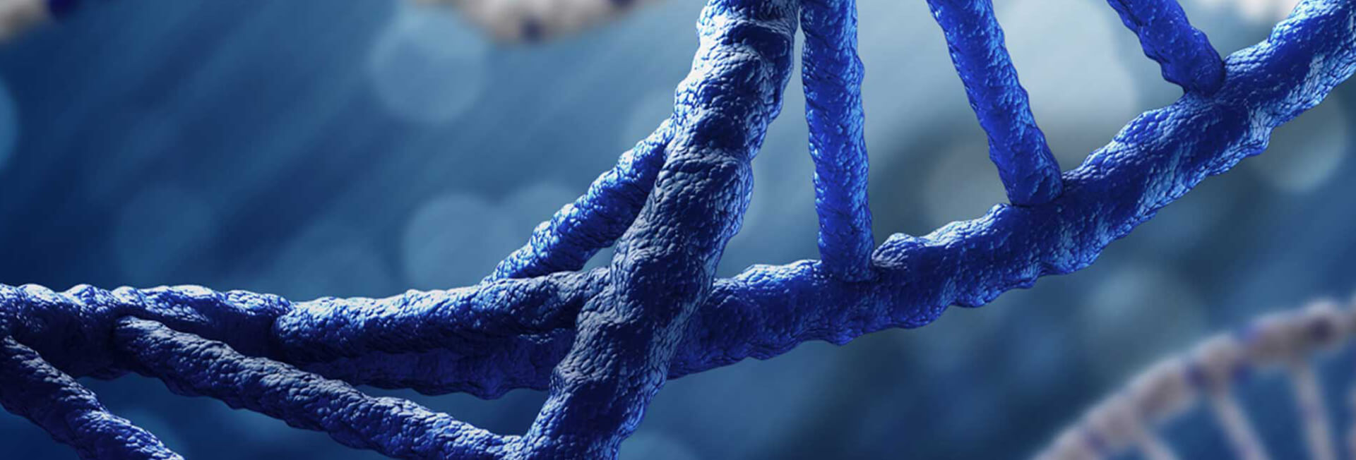 Solving the pain points of RNAi experiments: GentleGen's shRNA "Three-for-One" service, say goodbye to "mystical" knock-down methods, and obtain guaranteed shRNA!