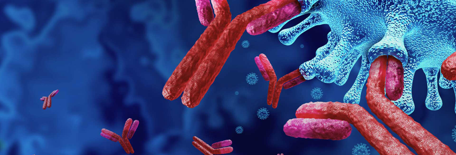 ASCO 2026 Insights: The Bispecific Antibody Wave Accelerates Antibody Drug Iteration, Automated Gene Services Lay a Solid Foundation for Innovation!