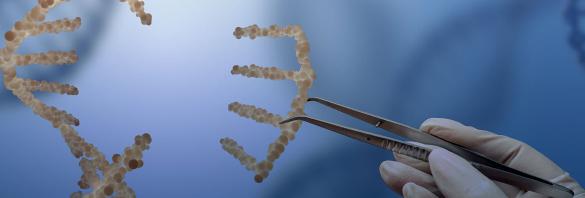 From Design to Analysis: GentleGen's CRISPR gRNA Library Screening, One-Step Solution!