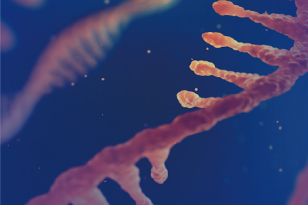 Cutting-edge discovery empowers mRNA vaccine research and development: GentleGen third-generation sequencing service helps to crack the stability code