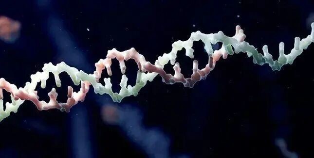From Rare Diseases to the Era of Chronic Diseases: Breakthrough Paths and Potential Challenges in Oligonucleotide Drug R&D！