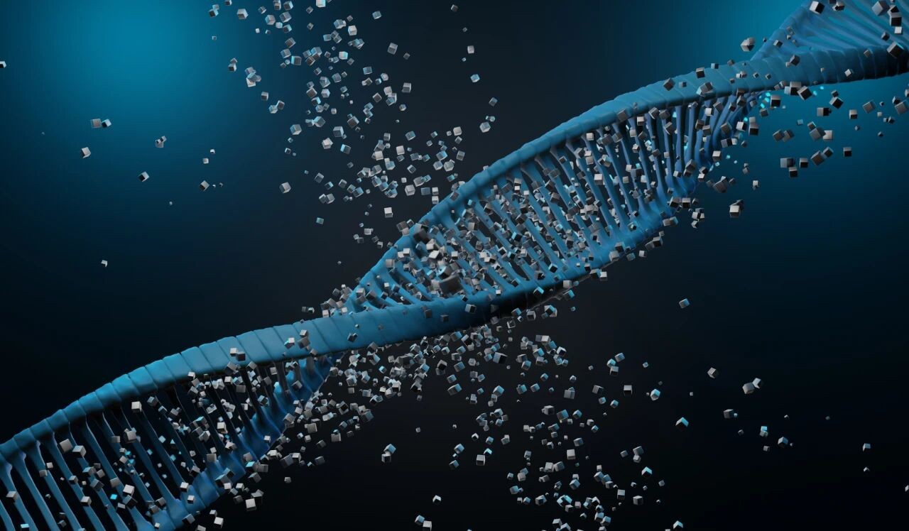 Is your siRNA "silent" again? No, silence is useless! A must-read guide for researchers to avoid the pitfalls of oligonucleic acid testing!