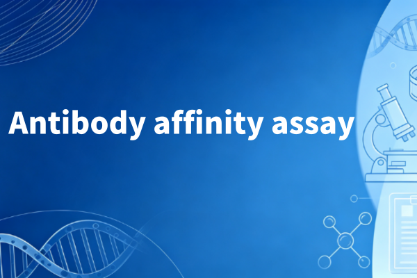 The "Golden Combination" of affinity testing: How does GentleGen's BLI technology balance speed and accuracy?