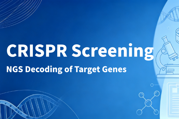 GentleGen's CRISPR-Screen-NGS guide: from massive genes to key targets