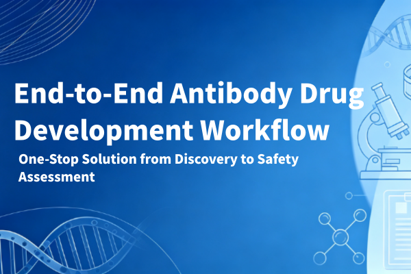 From antibody discovery to IND application, how does GentleGen handle antibody drug R&D in one stop?