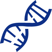 Codon optimization