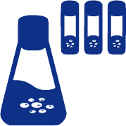 Antibody expression